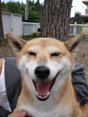 エルの写真