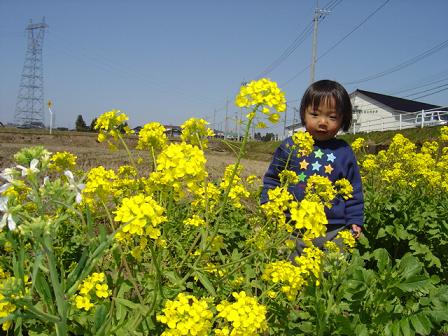 haru01a.jpg