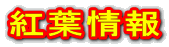 gt 